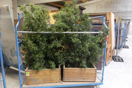 Bild von Los Nr. 1546