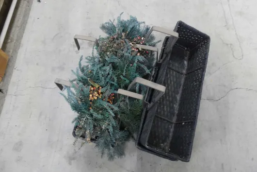 Bild von Los Nr. 1570