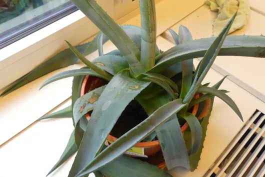 Bild von Los Nr. 2677