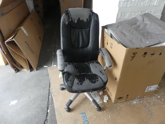 Bild von Los Nr. 313