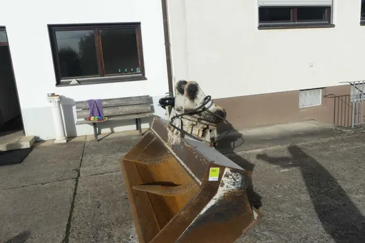 Bild von Los Nr. 960