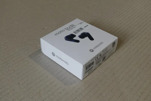 Bild von Los Nr. 251