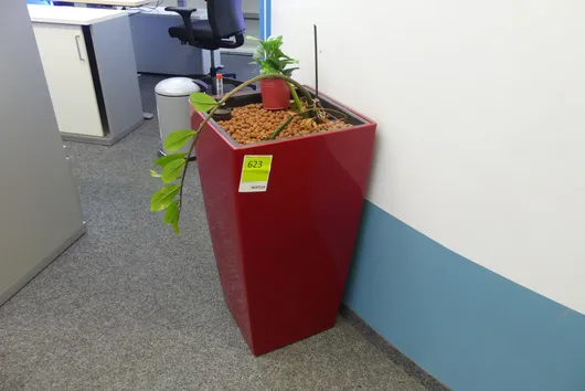 Bild von Los Nr. 623