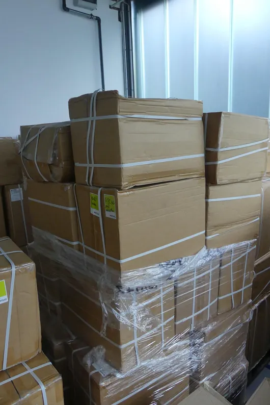 Bild von Los Nr. 447