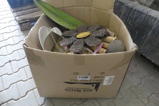 Bild von Los Nr. 104