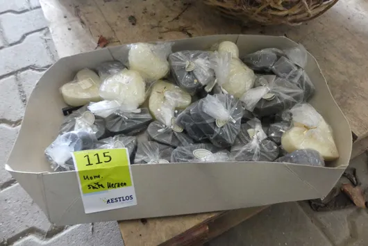 Bild von Los Nr. 115