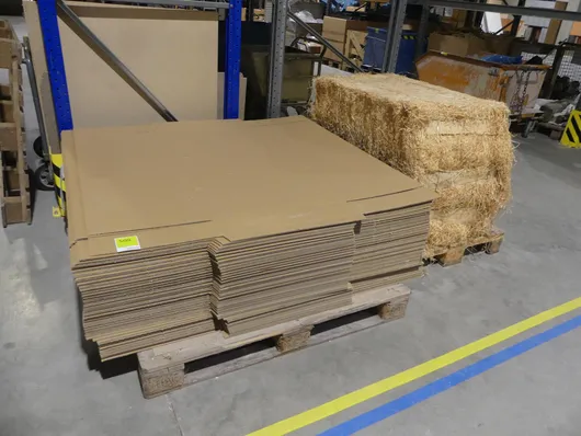 Bild von Los Nr. 509