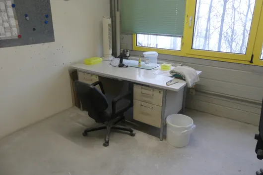 Bild von Los Nr. 596