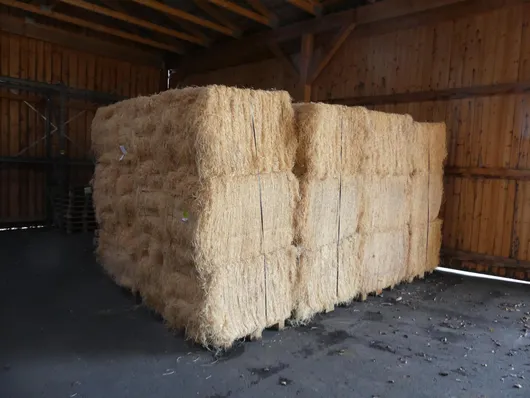 Bild von Los Nr. 651