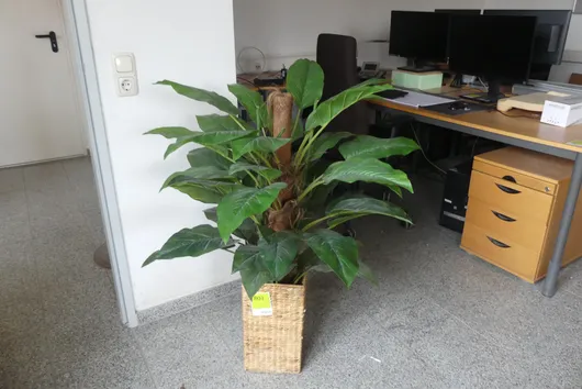 Bild von Los Nr. 803