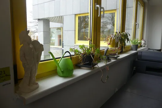 Bild von Los Nr. 821