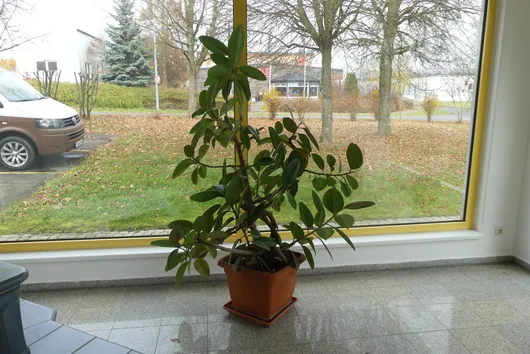 Bild von Los Nr. 830