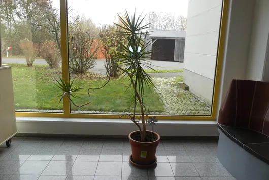 Bild von Los Nr. 842