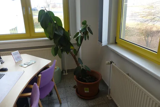 Bild von Los Nr. 860