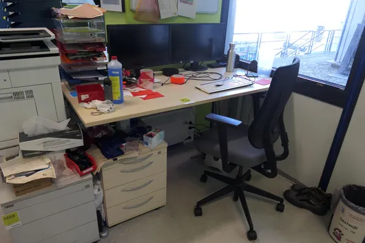 Bild von Los Nr. 1667