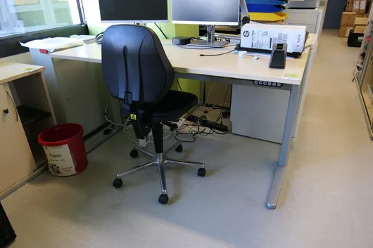 Bild von Los Nr. 1669