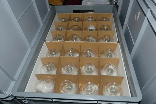 Bild von Los Nr. 221