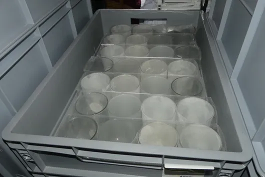 Bild von Los Nr. 222