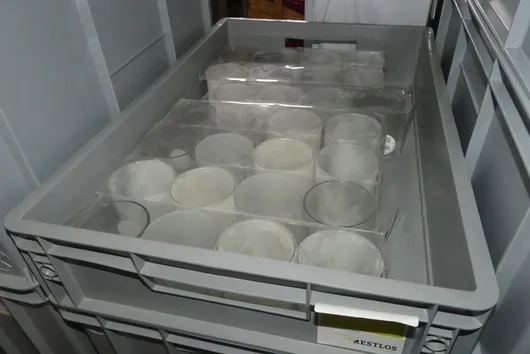 Bild von Los Nr. 223