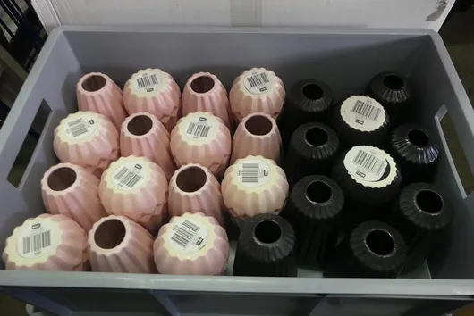 Bild von Los Nr. 265