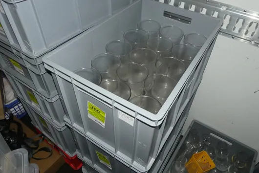 Bild von Los Nr. 369