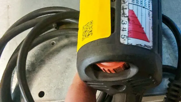 Bild