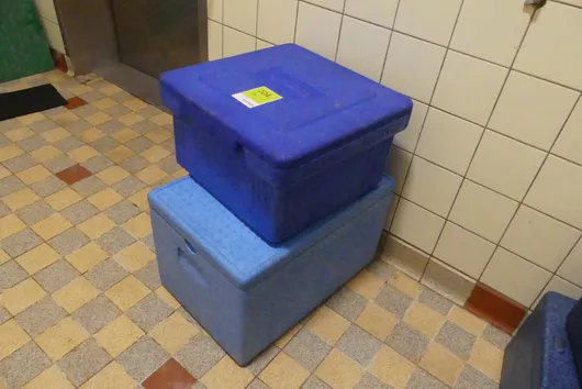 Bild von Los Nr. 204