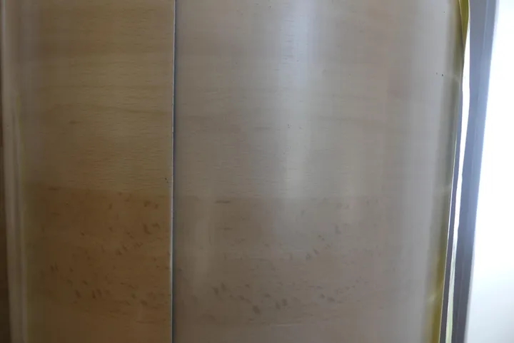 Bild