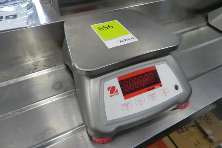 Bild
