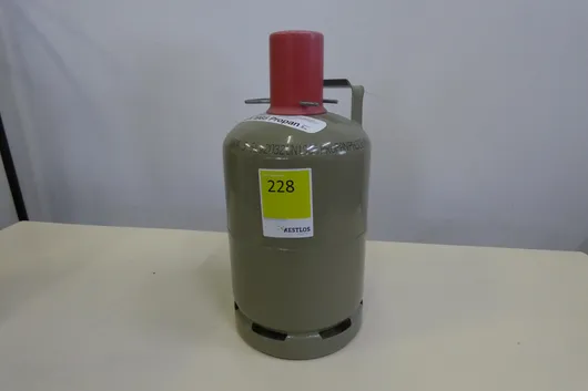 Bild von Los Nr. 228