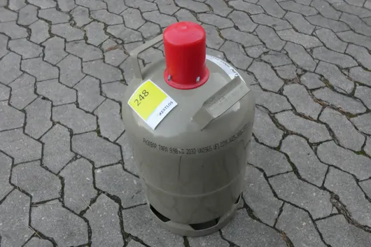 Bild von Los Nr. 248