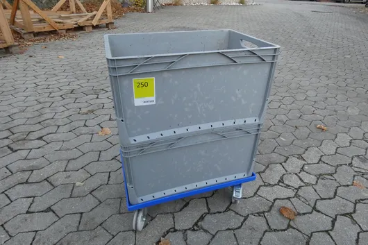 Bild von Los Nr. 250