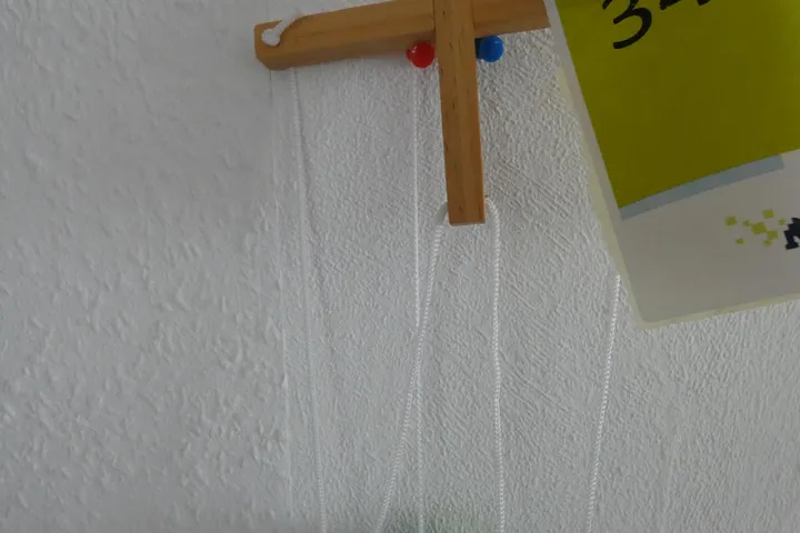 Bild