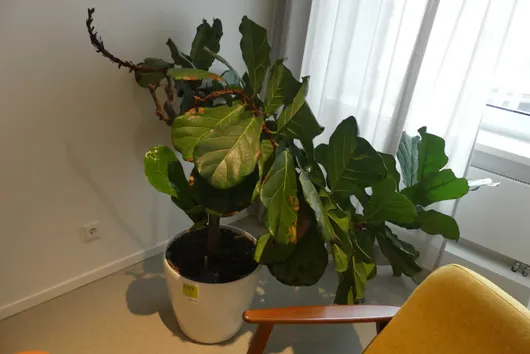 Bild von Los Nr. 2777