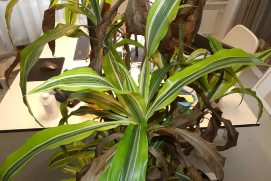 Bild von Los Nr. 2805