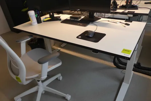 Bild von Los Nr. 2808