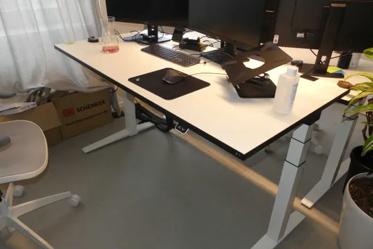 Bild von Los Nr. 2810