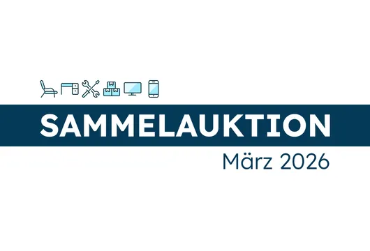 Bild von Auktion Sammelauktion März - Freizeitartikel, Werkstatteinrichtung, Technik und Vieles mehr