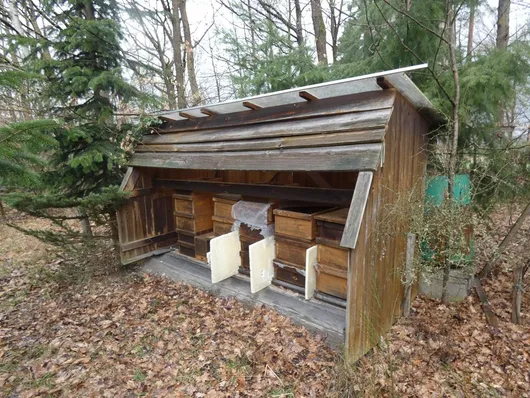 Bild von Los Nr. 897