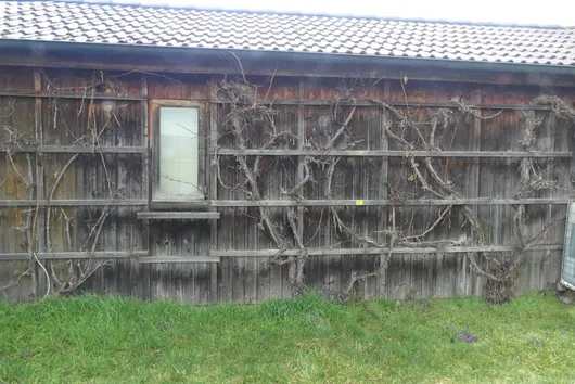 Bild von Los Nr. 923