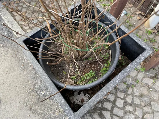 Bild von Los Nr. 380