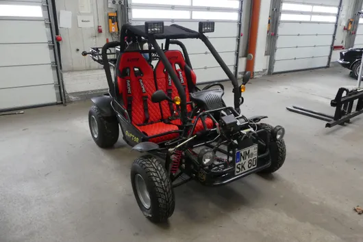 Bild von Los Nr. 217