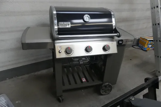 Bild von Los Nr. 246