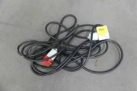 Bild von Los Nr. 251