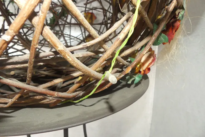Bild
