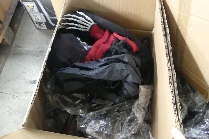 Bild