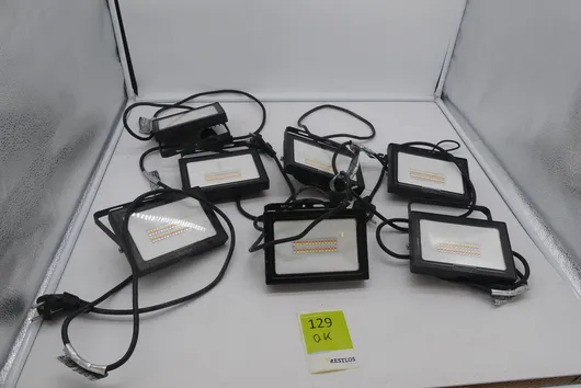 Bild von Los Nr. 129