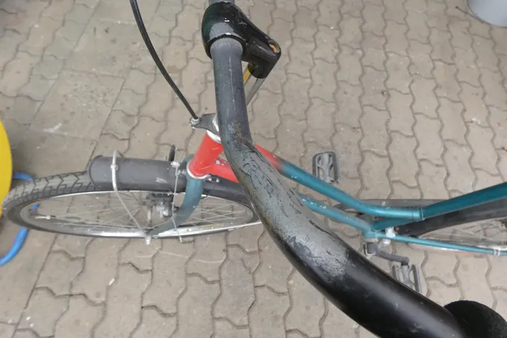 Bild