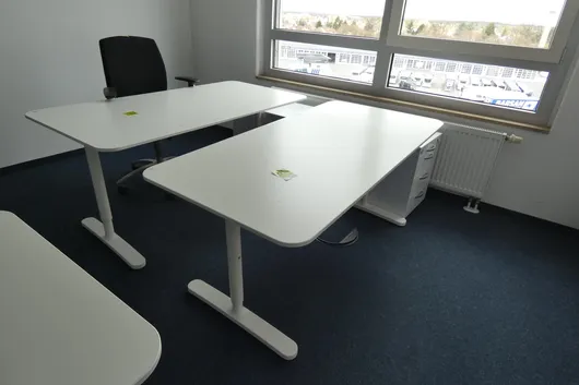 Bild von Los Nr. 480