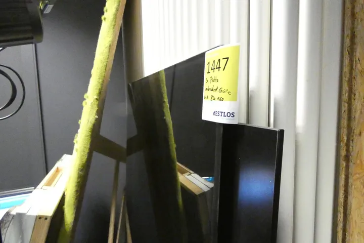 Bild